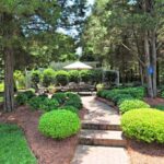 Simply_gorgeous_backyard