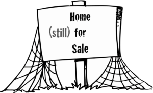 For Sale OLD 300x184 Are You Up for Selling Your OWN Charlotte Real Estate?