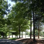 Providence Country Club Charlotte NC