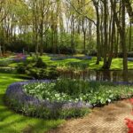 Charlotte NC Home Seller Tips - Exterior Maintenance