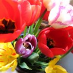 Charlotte home seller tips - spring cleaning