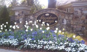 Search Charlotte NC Neighborhoods - Providence Springs