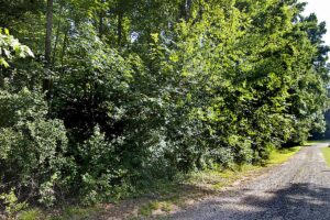 Lot for Sale in Charlotte NC 15+ Acres