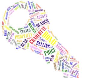 Charlotte NC Real Estate Recovery - The Key to Realityville