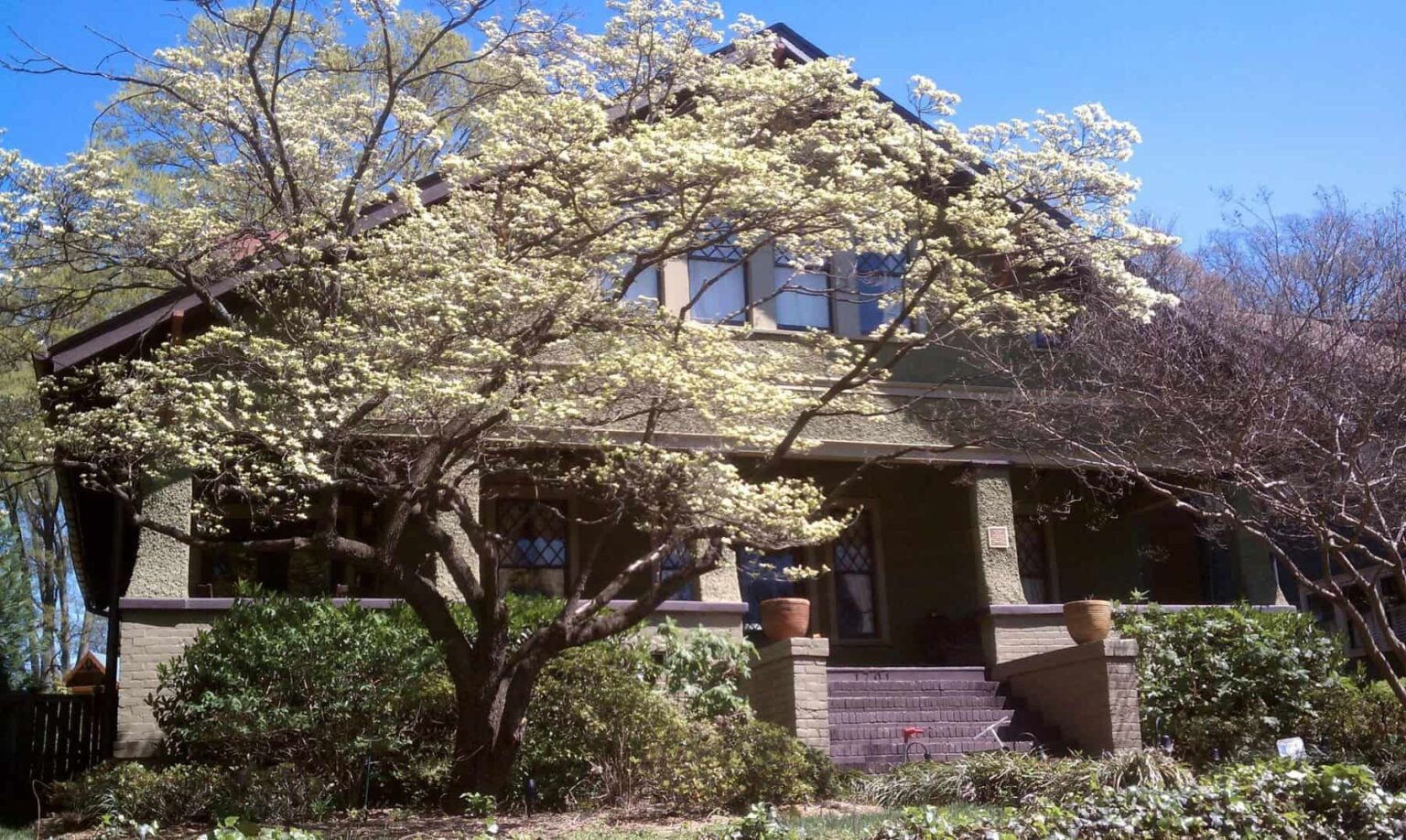 Wilmore Charlotte NC Homes for Sale Charlotte NC Homes for Sale By