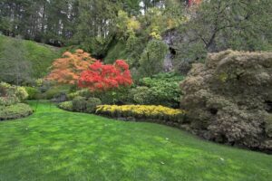Picture perfect landscaping