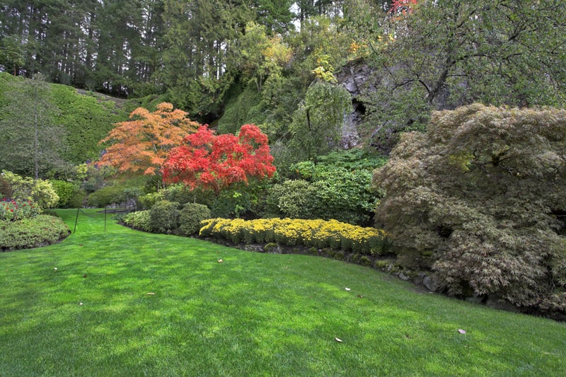 Manicured lawn