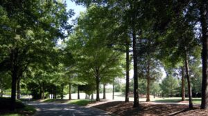 Providence Country Club Charlotte NC