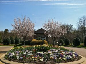 Charlotte luxury homes in gated communities
