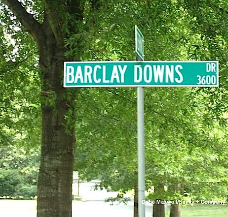 Homes for sale in Barclay Downs Charlotte NC