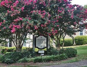 Charlotte Upscale Condos for Sale in Myers Park