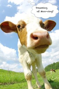 Dreaming of mooving?