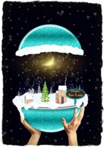 OOPS Too Late! Another Savvy Home SOLD during the holidays!