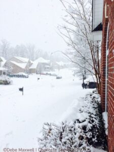 Charlotte Snow Days