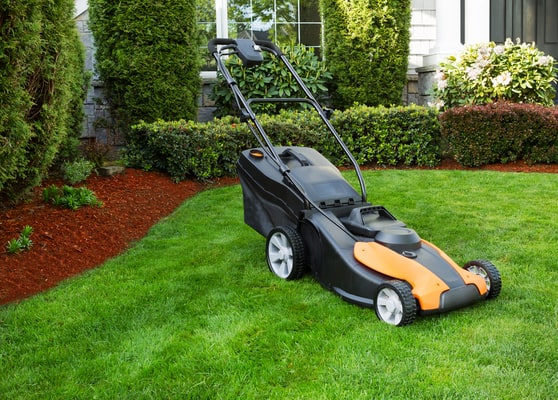  Lawn maintenance