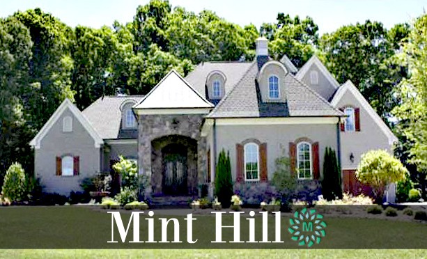 Mint Hill Homes for Sale