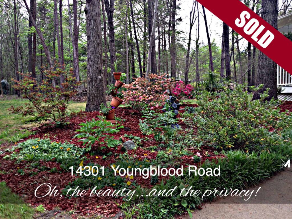 SOLD 14301 Youngblood Road STEELE CREEK