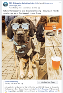 Sycamore Brewing - Pet-friendly craft brewery