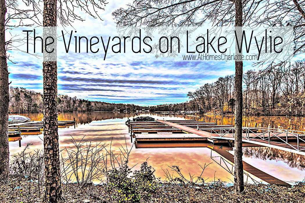 Luxurious Townhome in The Vineyards on Lake Wylie Charlotte NC Homes